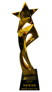 2020.12 深房基金颁发 2020年度“星”贡献