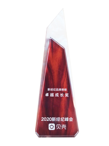 2020.12 新经纪峰会颁发 卓越成长奖